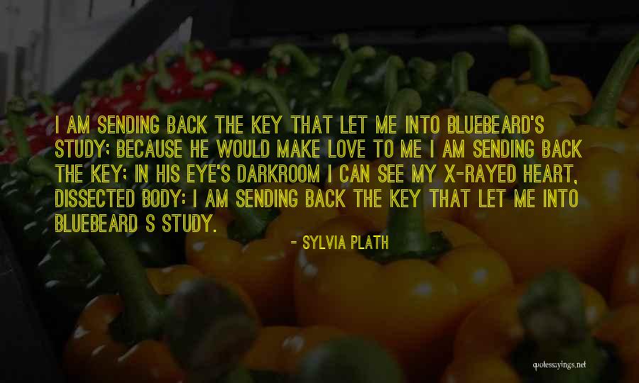 Rayed Quotes By Sylvia Plath Rayed Quotes By Sylvia Plath
