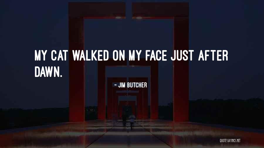Raylar Medication Quotes By Jim Butcher Raylar Medication Quotes By Jim Butcher