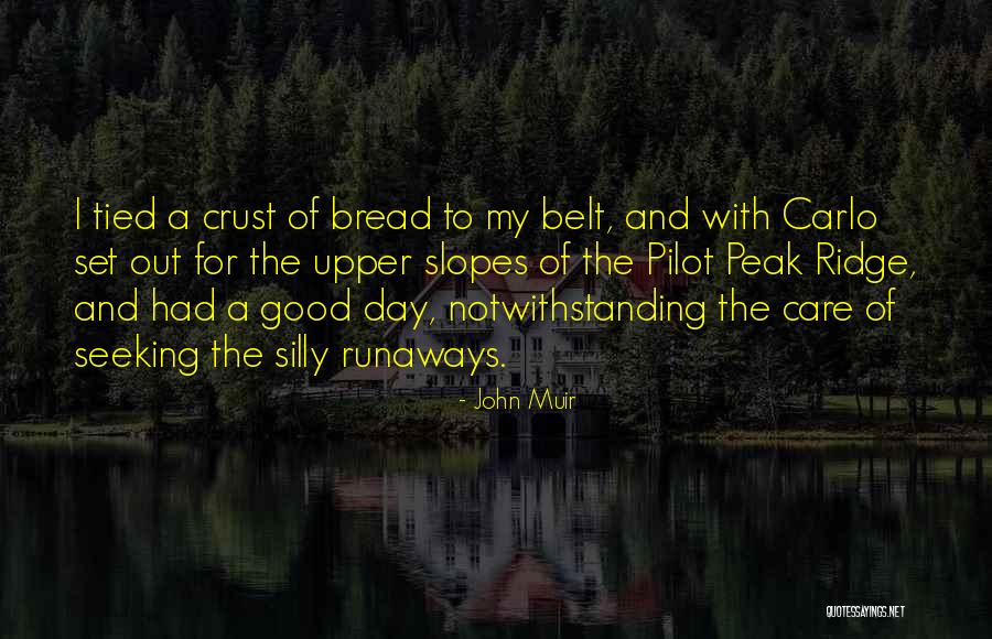 Raylene Quotes By John Muir Raylene Quotes By John Muir