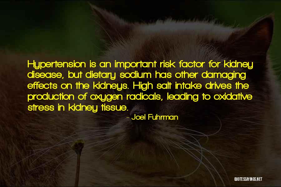 Raymen Beach Quotes By Joel Fuhrman Raymen Beach Quotes By Joel Fuhrman