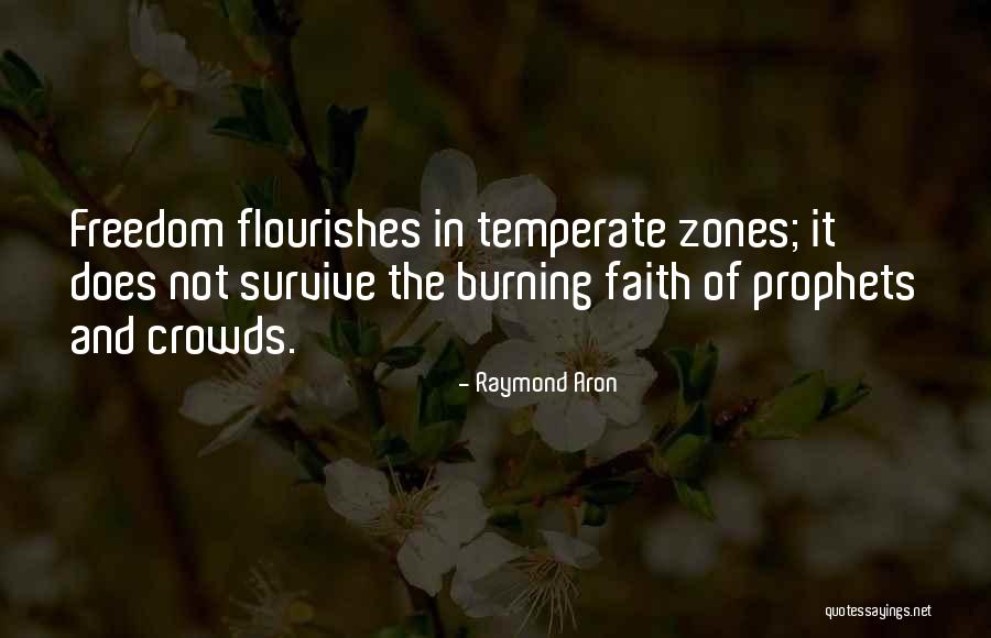 Raymond Aron Quotes 1723053