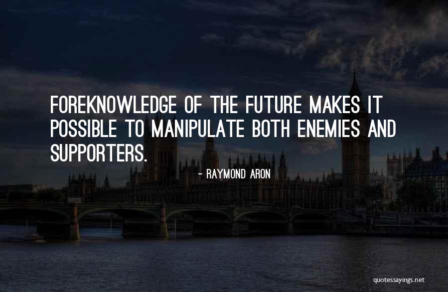 Raymond Aron Quotes 215821