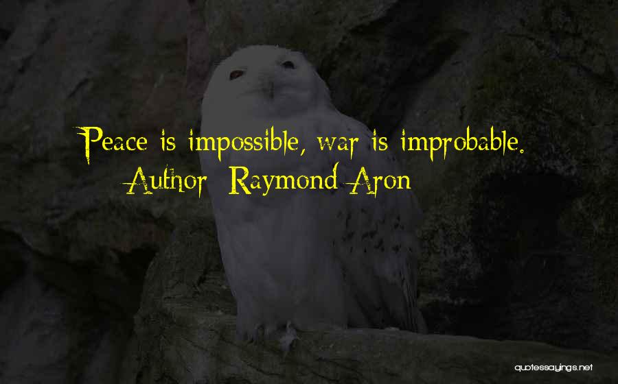 Raymond Aron Quotes 429606