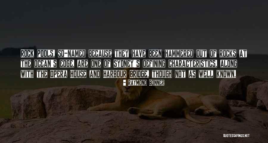 Raymond Bonner Quotes 1070858 Raymond Bonner Quotes 1070858