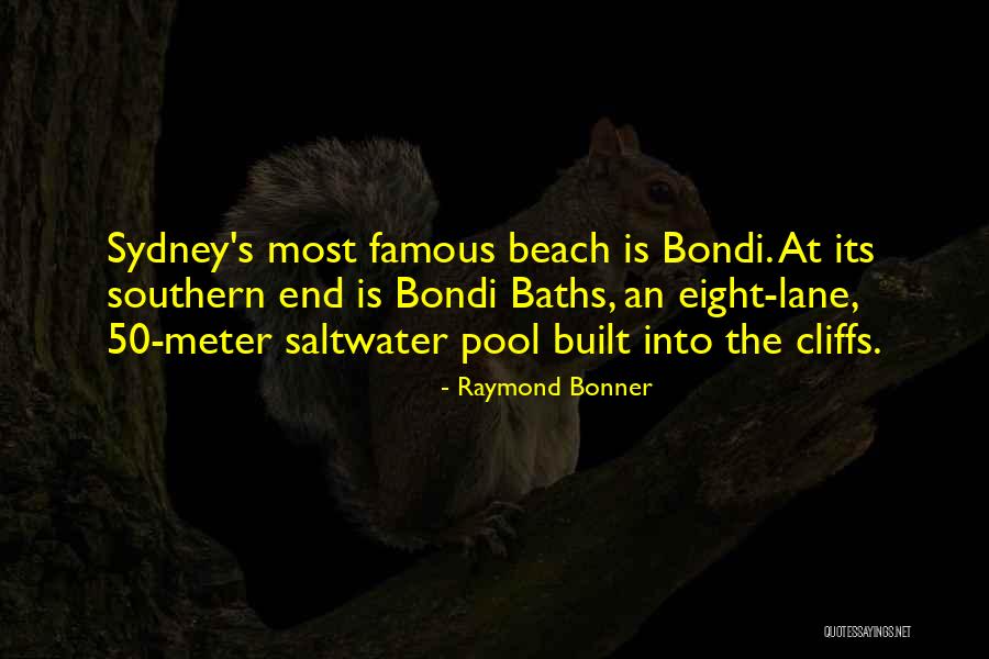 Raymond Bonner Quotes 1354575