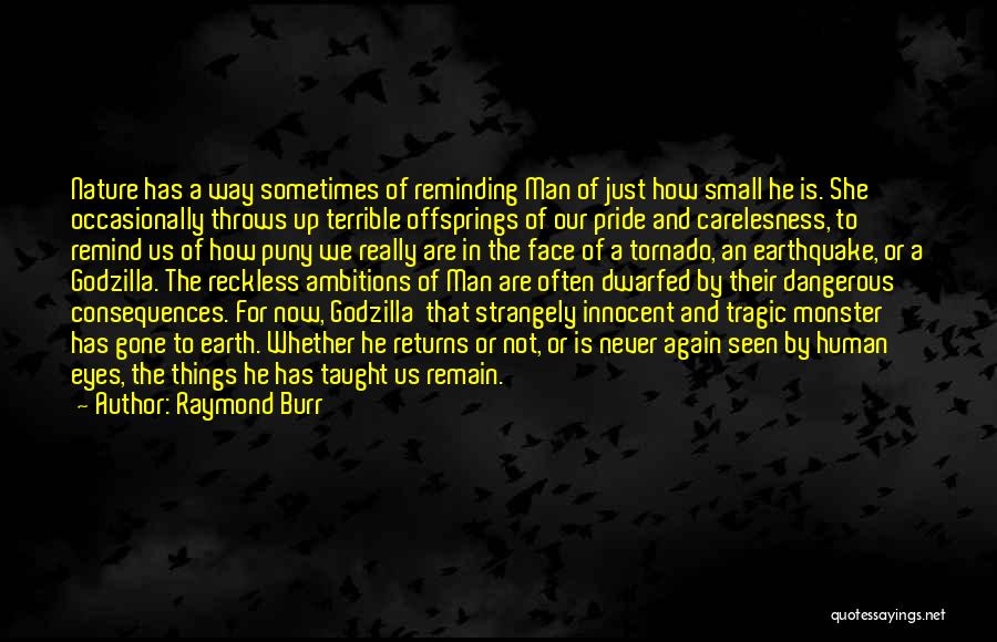 Raymond Burr Quotes 1264096