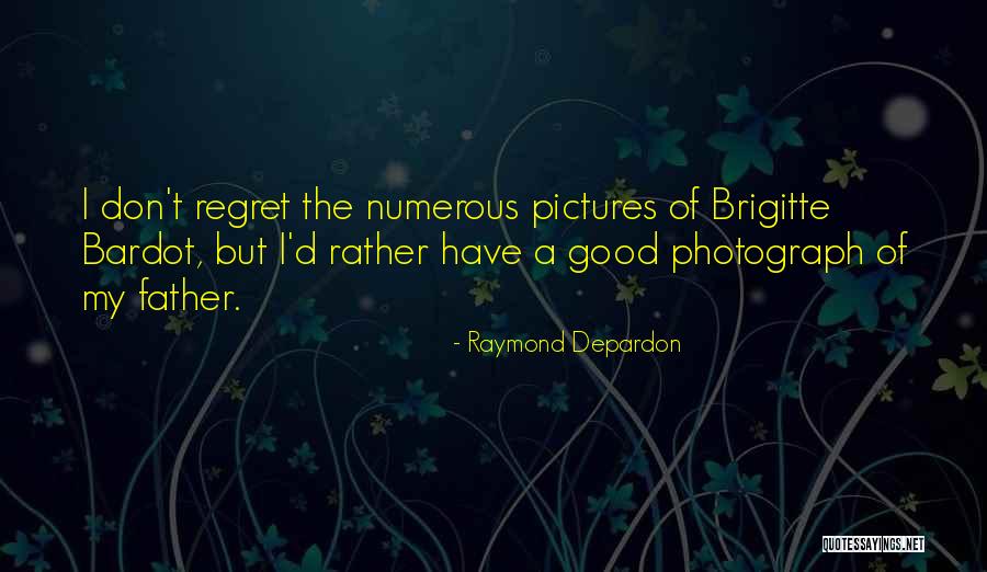 Raymond Depardon Quotes 803016