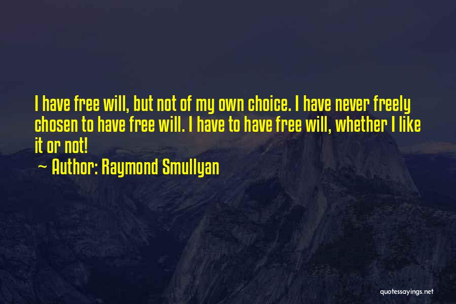 Raymond Smullyan Quotes 1613861