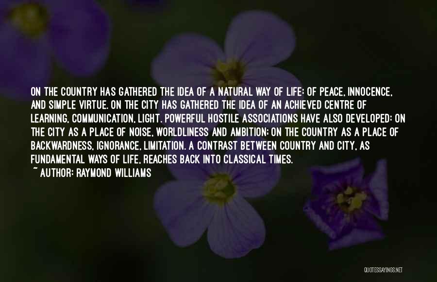 Raymond Williams Quotes 897617