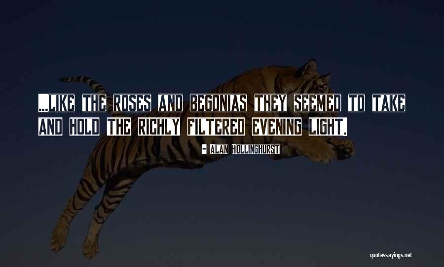 Rayonnage Algerie Quotes By Alan Hollinghurst Rayonnage Algerie Quotes By Alan Hollinghurst