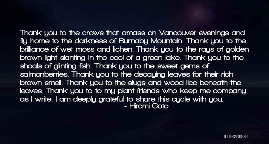Rays As Quotes By Hiromi Goto Rays As Quotes By Hiromi Goto