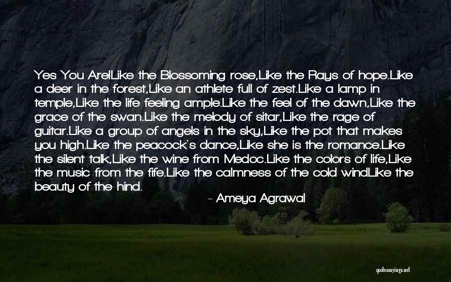 Rays Of Hope Quotes By Ameya Agrawal