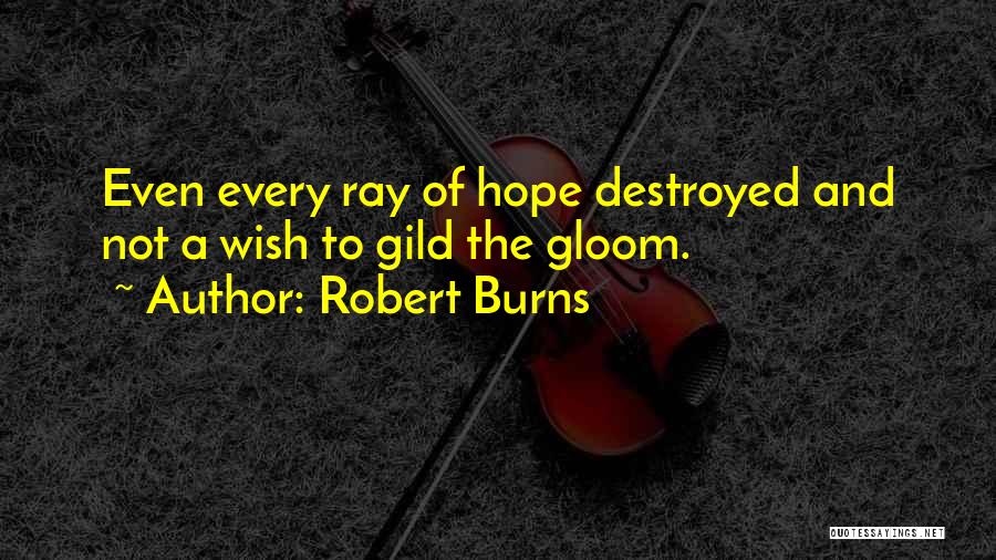 Rays Of Hope Quotes By Robert Burns