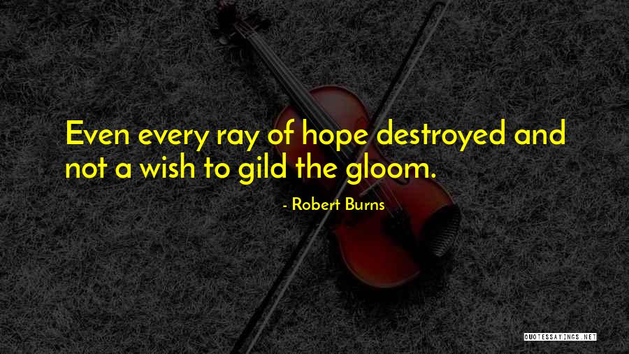 Rays Of Hope Quotes By Robert Burns