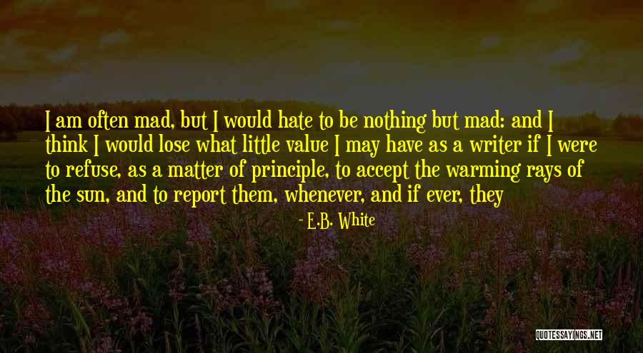 Rays Of Sun Quotes By E.B. White