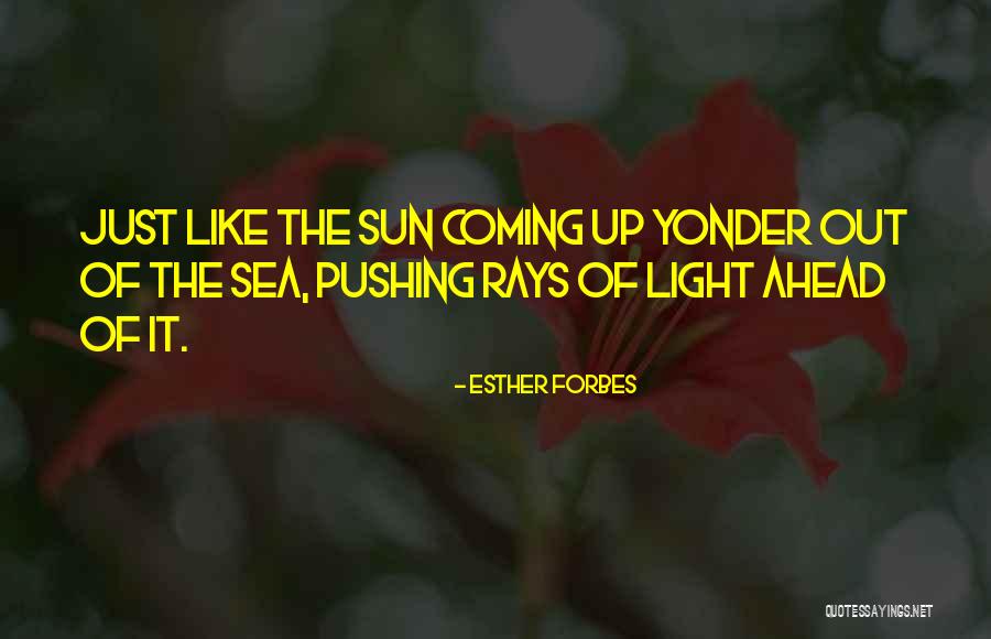 Rays Of Sun Quotes By Esther Forbes