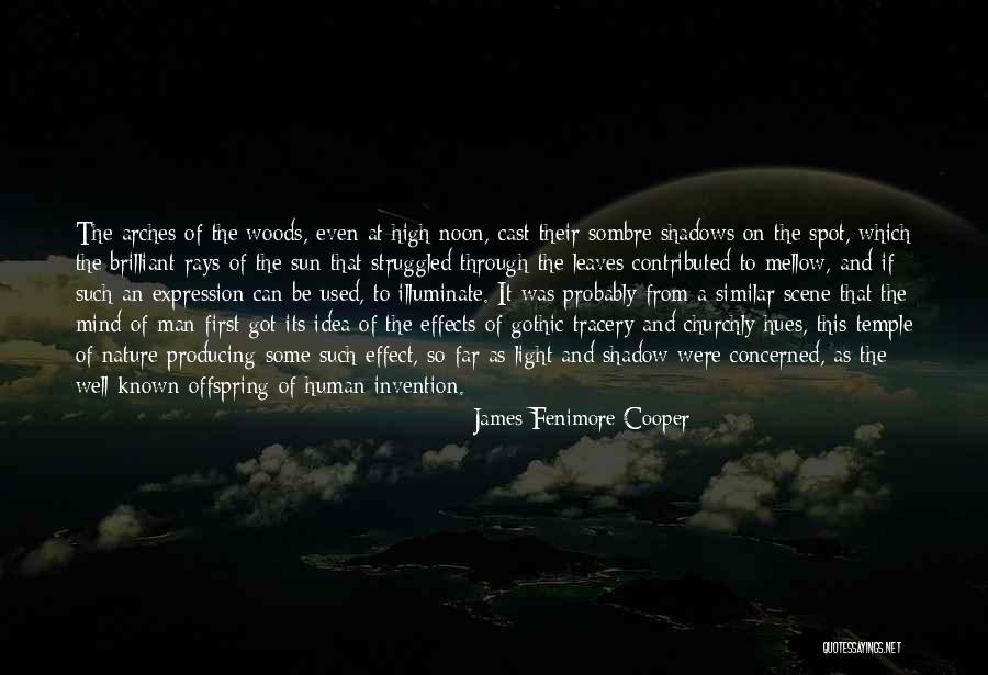 Rays Of Sun Quotes By James Fenimore Cooper