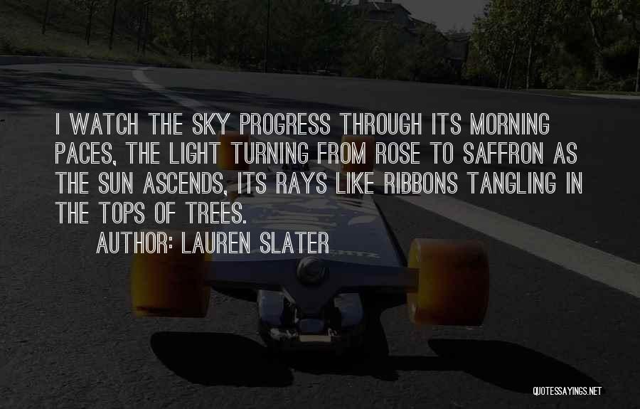 Rays Of Sun Quotes By Lauren Slater