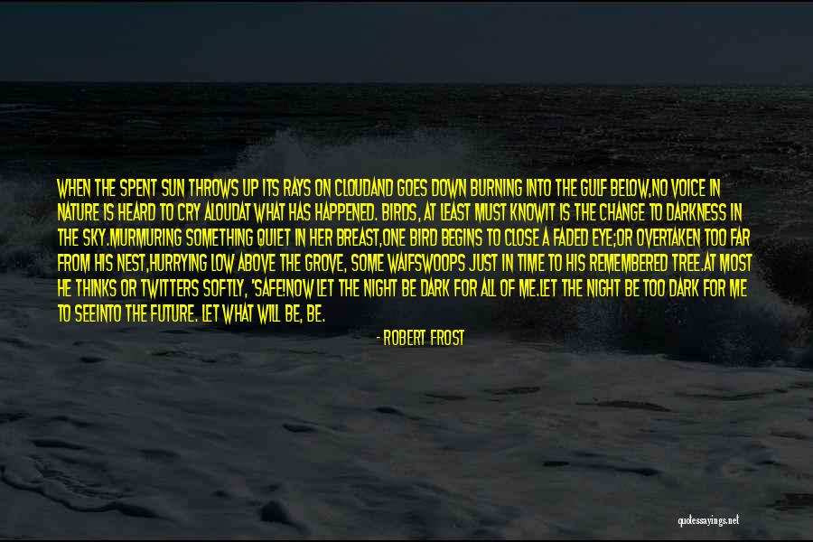 Rays Of Sun Quotes By Robert Frost