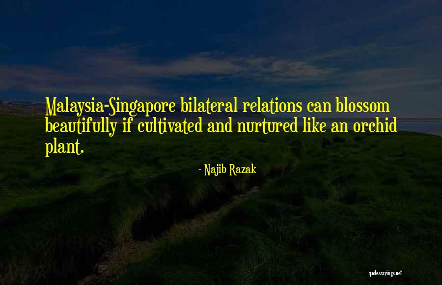 Razak Quotes By Najib Razak Razak Quotes By Najib Razak