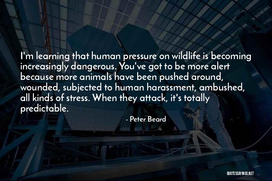 Razdvojene 9 Quotes By Peter Beard Razdvojene 9 Quotes By Peter Beard