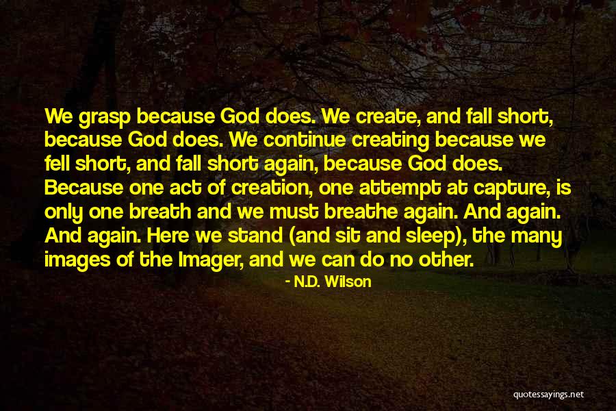 Raziels Quotes By N.D. Wilson