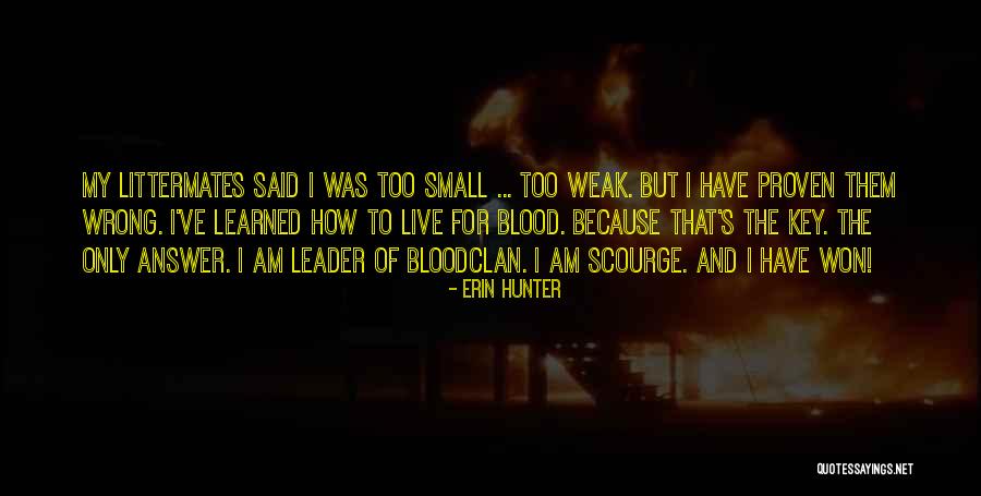 Razinia Quotes By Erin Hunter Razinia Quotes By Erin Hunter