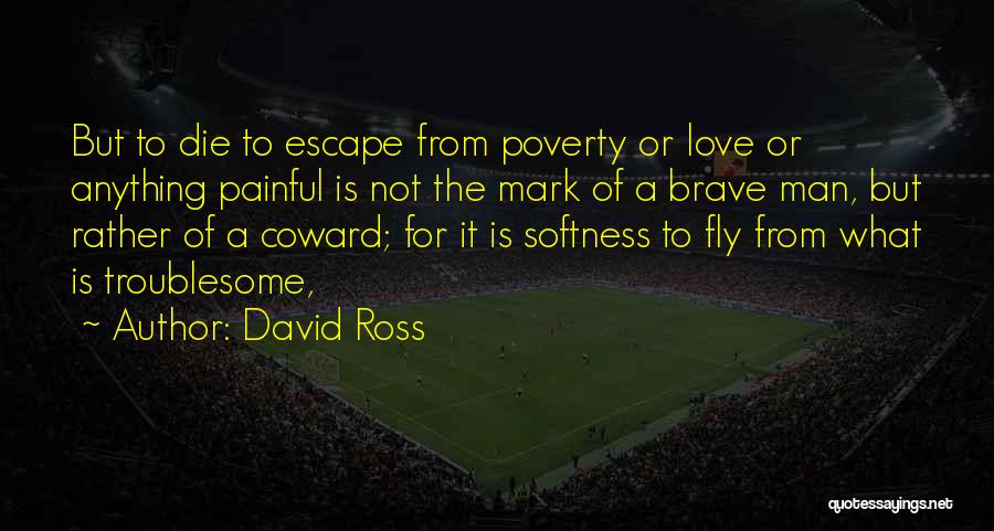 Razne Pletenice Quotes By David Ross