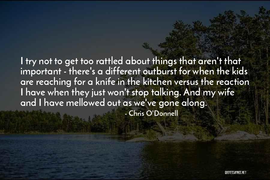 Razones De Endeudamiento Quotes By Chris O'Donnell Razones De Endeudamiento Quotes By Chris O'Donnell