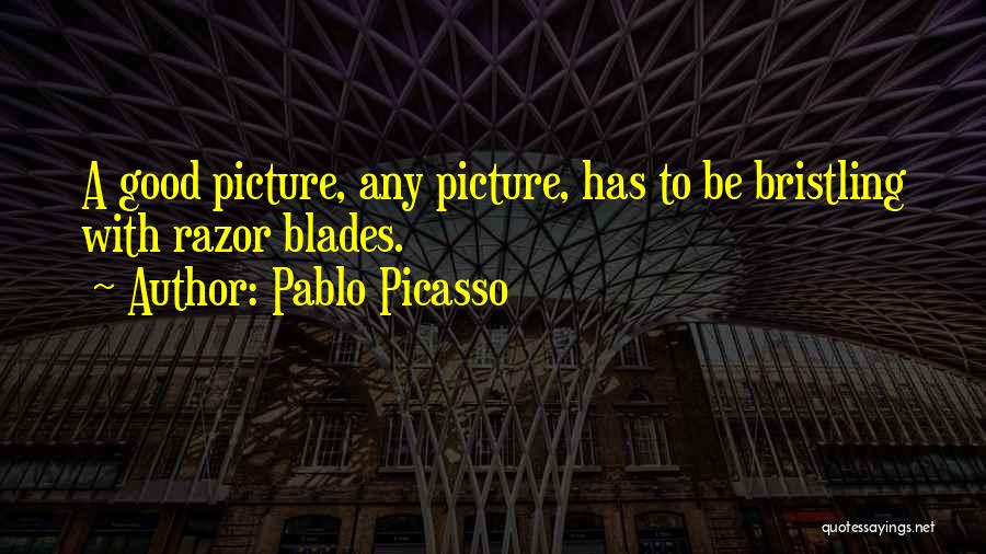 Razor Blades Quotes By Pablo Picasso