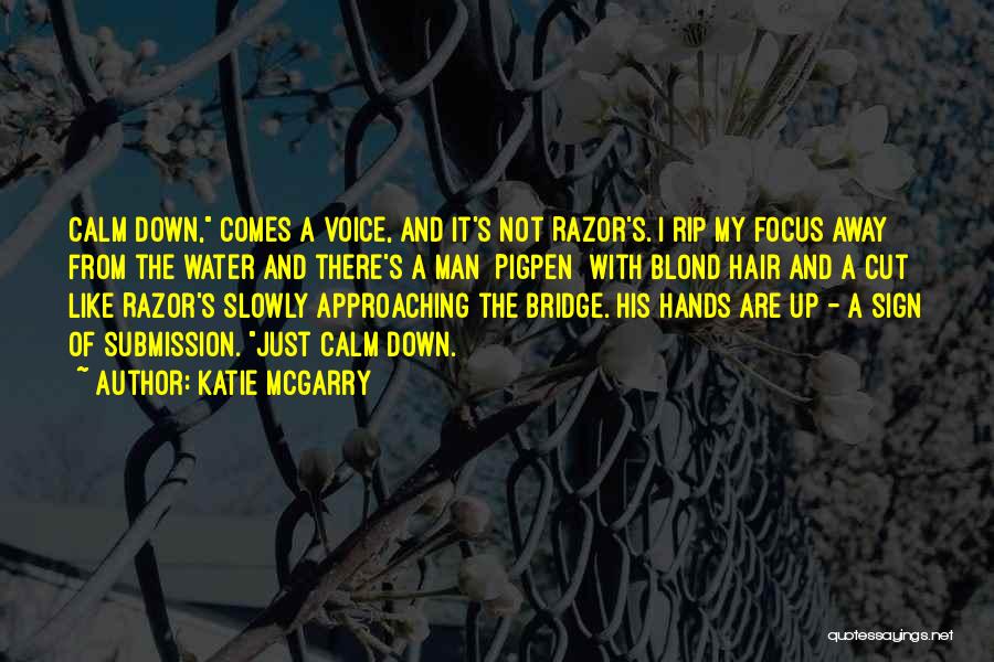 Razor's Edge Quotes By Katie McGarry