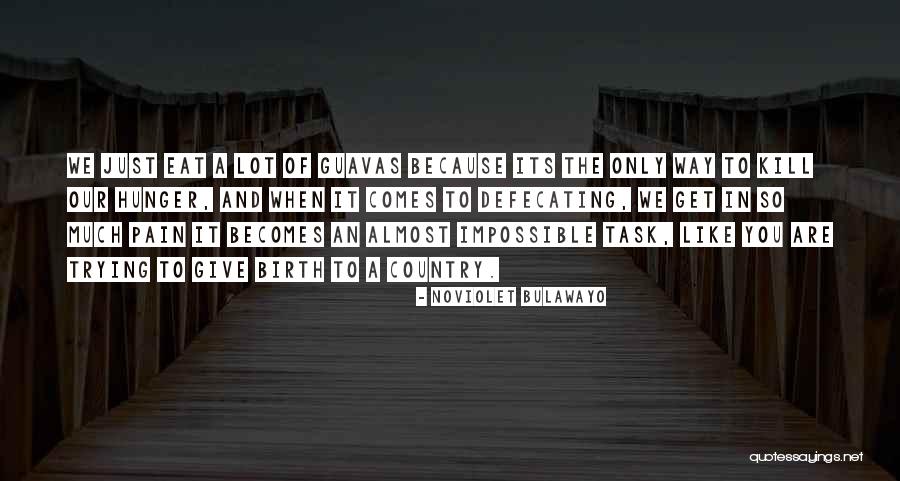 Rboles De Yucatan Quotes By NoViolet Bulawayo Rboles De Yucatan Quotes By NoViolet Bulawayo