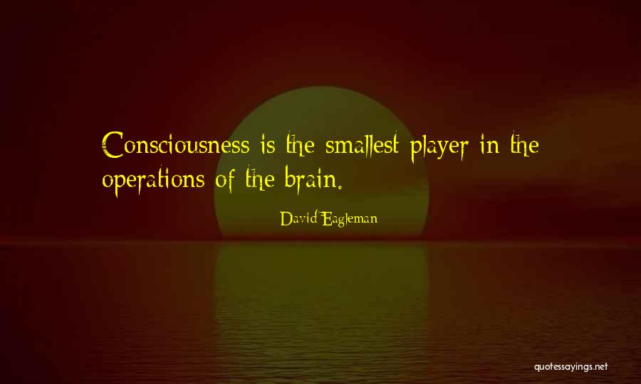 Rcas Skyward Quotes By David Eagleman Rcas Skyward Quotes By David Eagleman