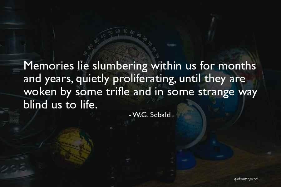 Rdek Website Quotes By W.G. Sebald