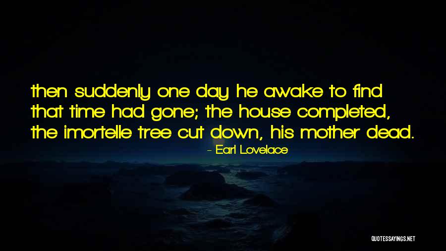 Rdy 293 Quotes By Earl Lovelace Rdy 293 Quotes By Earl Lovelace