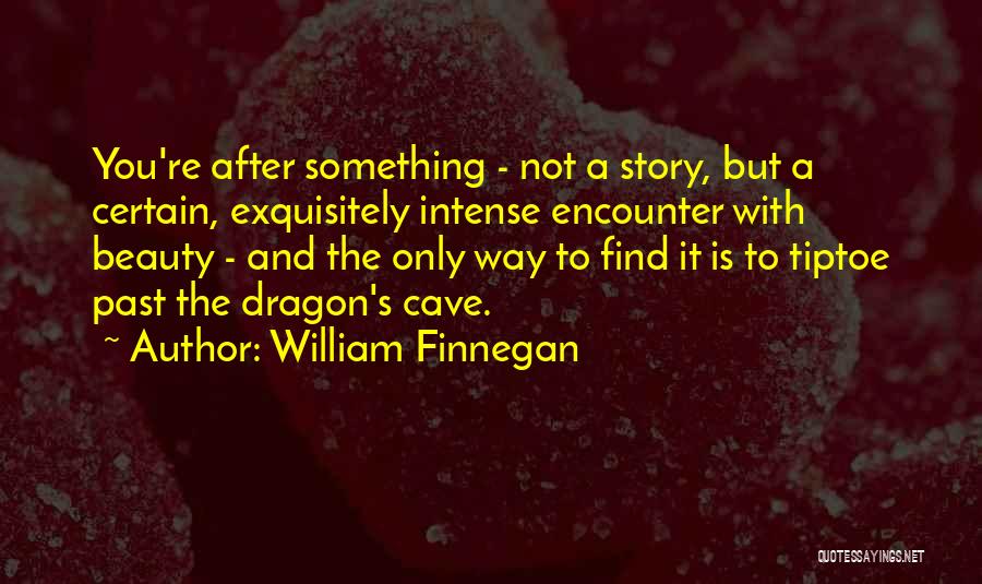 Re Encounter Quotes By William Finnegan