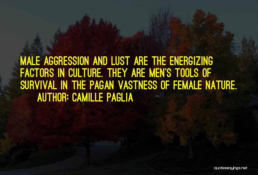 Re Energizing Quotes By Camille Paglia