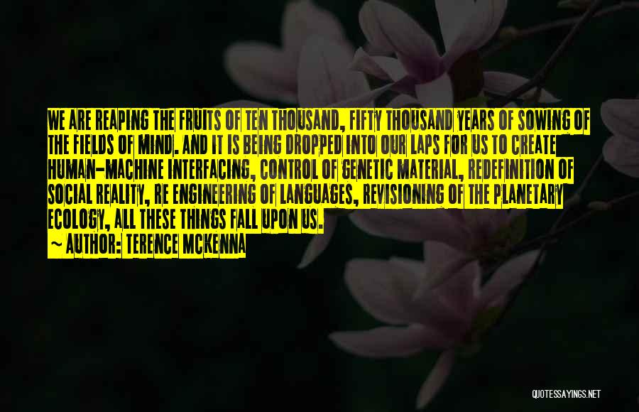 Re Engineering Quotes By Terence McKenna