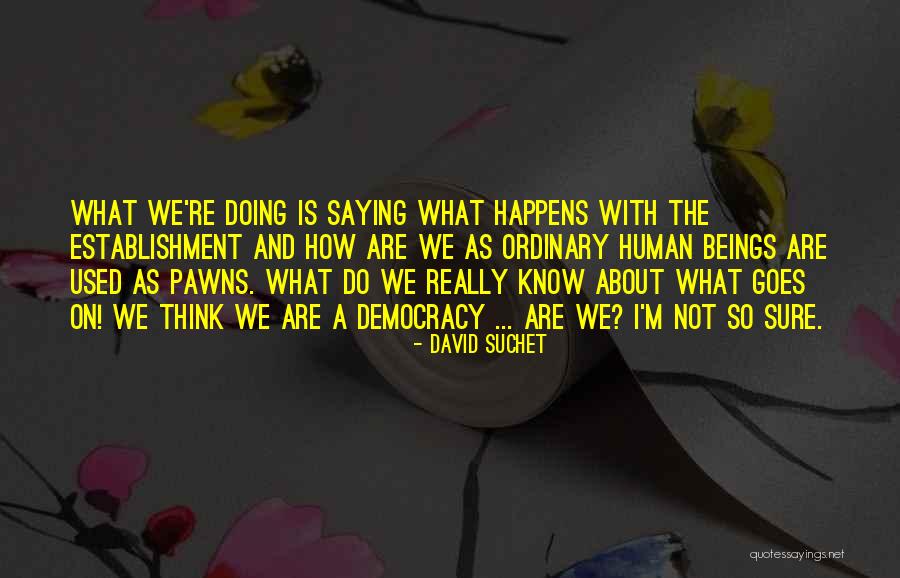 Re Establishment Quotes By David Suchet Re Establishment Quotes By David Suchet