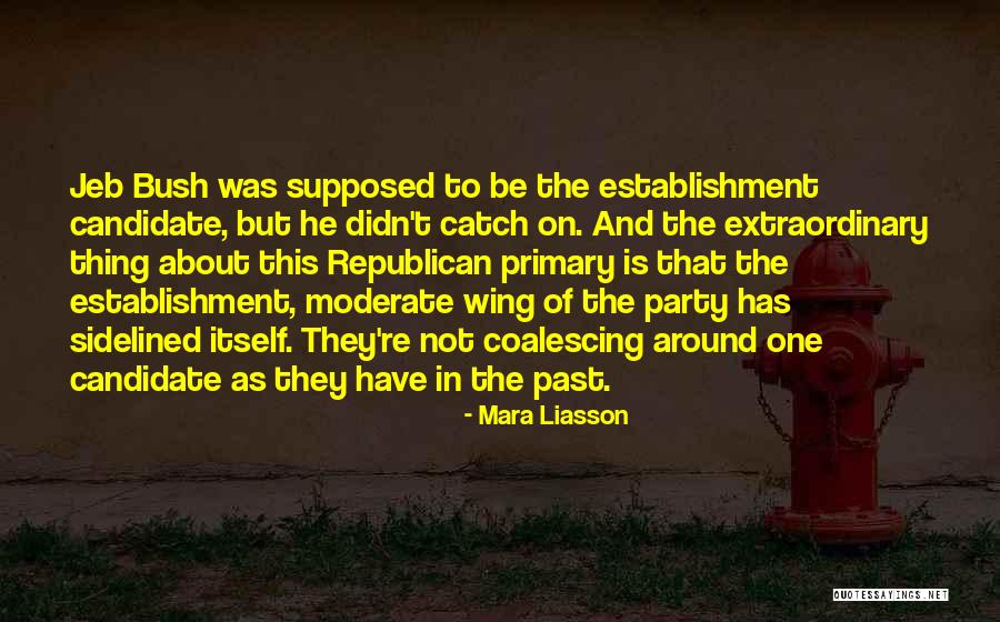 Re Establishment Quotes By Mara Liasson Re Establishment Quotes By Mara Liasson