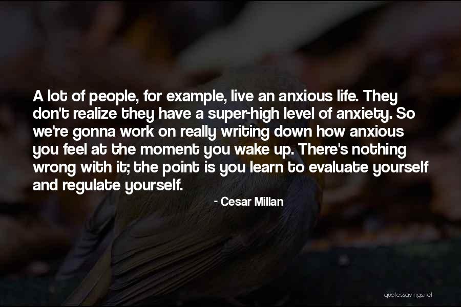 Re Evaluate Yourself Quotes By Cesar Millan