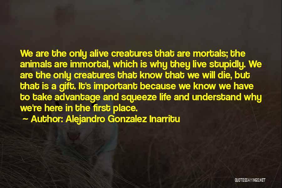 Re Gift Quotes By Alejandro Gonzalez Inarritu