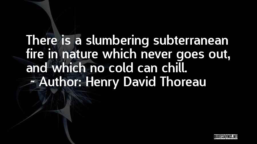 Re Hurting Poems Quotes By Henry David Thoreau