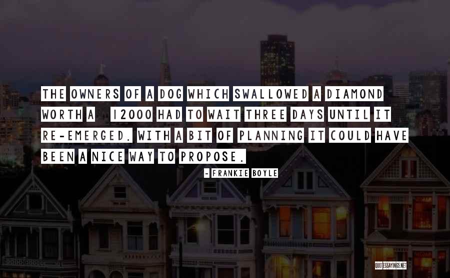 Re Planning Quotes By Frankie Boyle