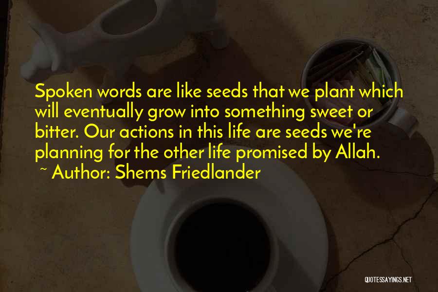 Re Planning Quotes By Shems Friedlander