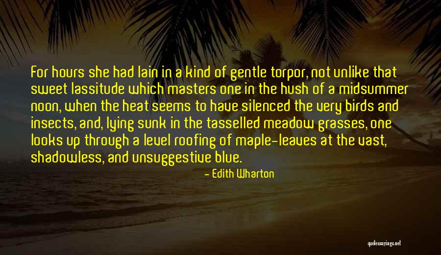 Re Roofing Quotes By Edith Wharton Re Roofing Quotes By Edith Wharton