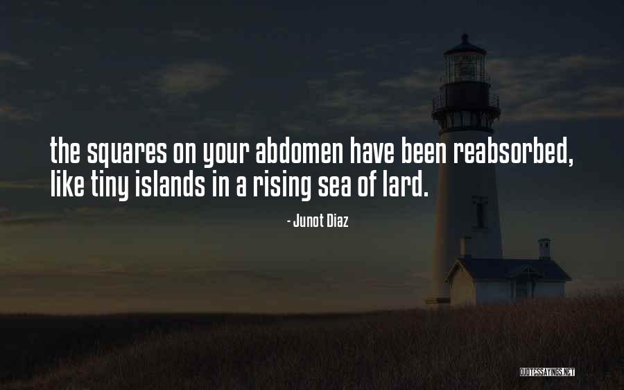 Reabsorbed Quotes By Junot Diaz Reabsorbed Quotes By Junot Diaz