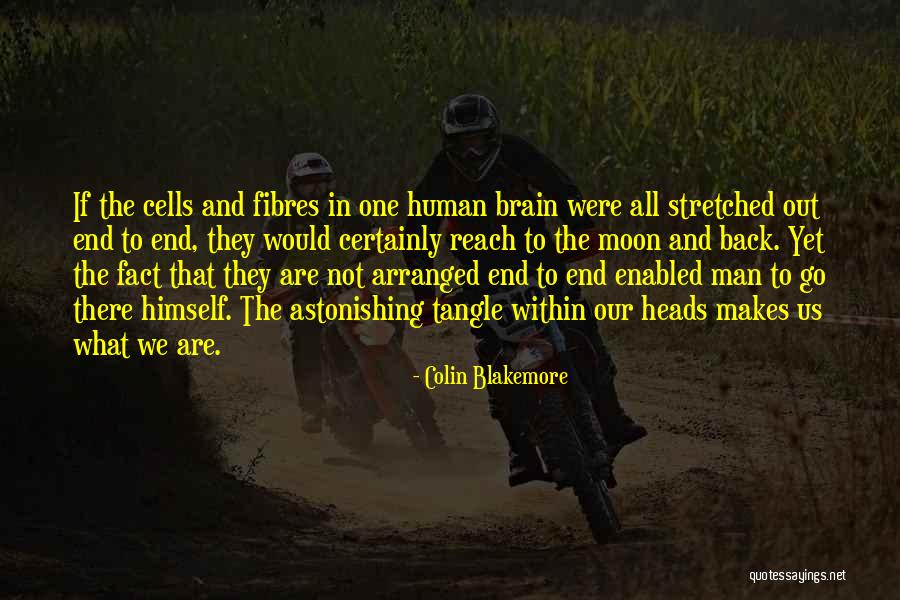 Reach Back Quotes By Colin Blakemore Reach Back Quotes By Colin Blakemore