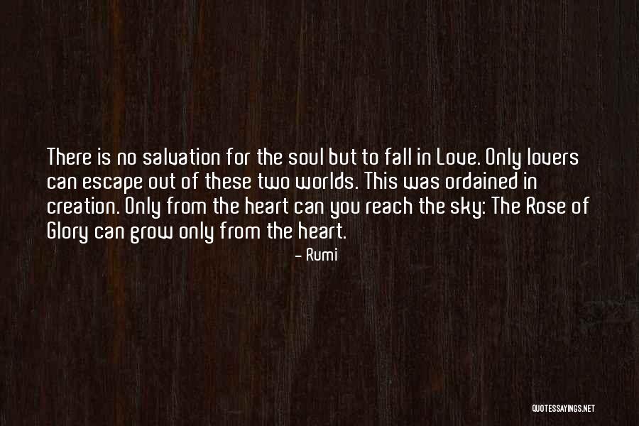 Reach For The Sky Quotes By Rumi Reach For The Sky Quotes By Rumi