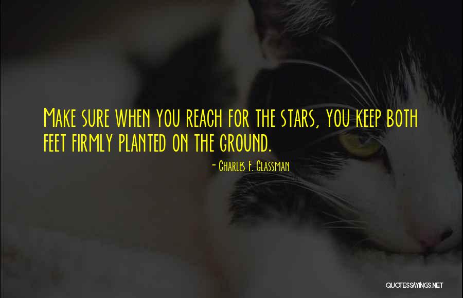 Reach For The Stars Quotes By Charles F. Glassman Reach For The Stars Quotes By Charles F. Glassman